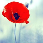 Leisa Joy's photo