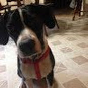 Gale O'Halloran's photo