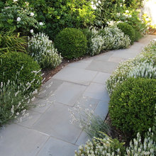Landscape Ideas