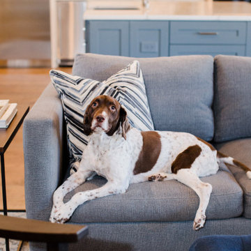 Northwest Balcones || Remodel || Austin, Texas