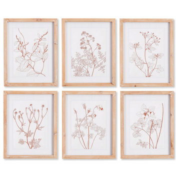 Botanicals, Blush Prints, Set of 6