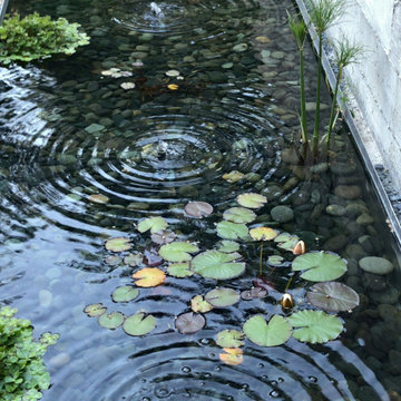 Water Features