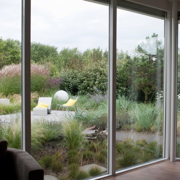 Dune garden in The Netherlands
