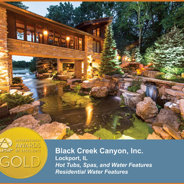 2014 APSP International Awards of Excellence