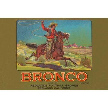 Bronco Brand Crate Label- Paper Poster 12" x 18"