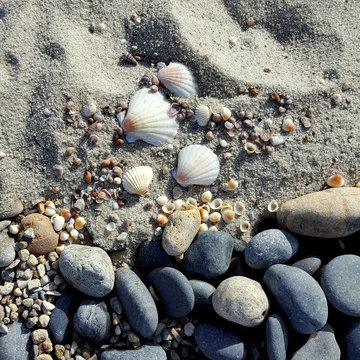 Sandy beach garden