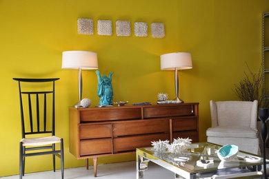 Living room - mid-century modern living room idea in Other
