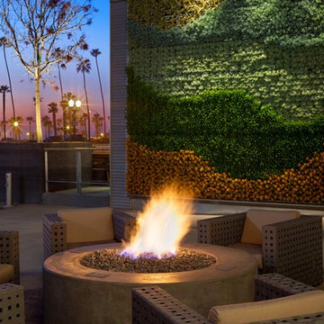 SpringHill Suites Living Wall
