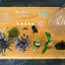 DIY Projects