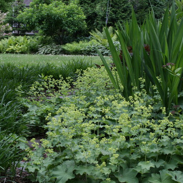 Perennial Garden, Westport, CT