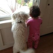 Cesar Reyes's photo