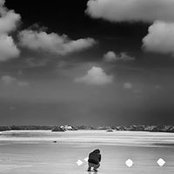 Oussama Rhalebさんの写真