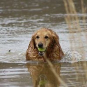 Nadine Williams's photo