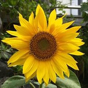 Gabi Gottschalk's photo