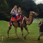 Foto de Whitney Daniel