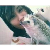 Sarah Chay's photo