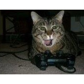 Wendy Brown's photo