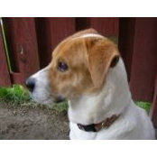 Sarah Compston's photo