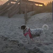 Marla McCann's photo