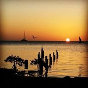 Rory Thurrott's photo