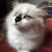 Catherine Subasic's photo