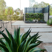 Side & Back Yard