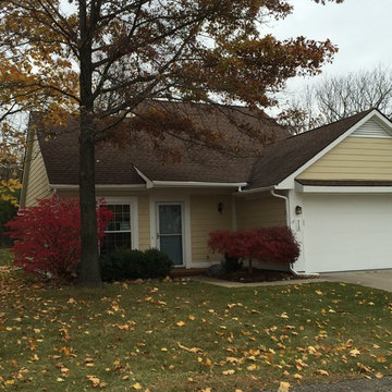 Exterior Paint
