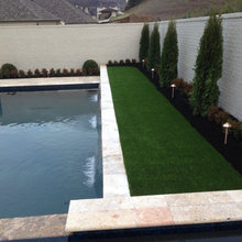 Backyard New House