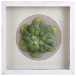 Stylecraft - HELLO FRIEND IV | 12in w. X 12in ht. X 2in d. | Wood and Metal Botanical Shado - Bring nature indoors with this three-dimensional Hello Friend IV botanical wall art. Enclosed in a wood and metal frame, the green layered, flower petals inside this shadowbox will empty walls to life with a much-needed splash of color. This piece will fit beautifully in living rooms, bedrooms, hallways, offices and foyers alike.