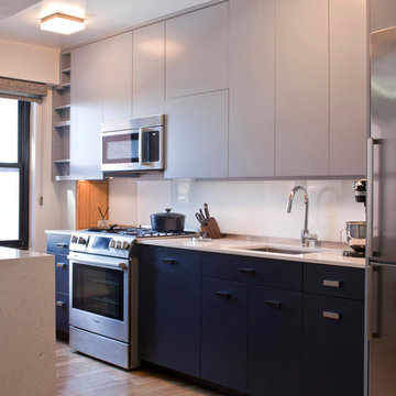 Blue & White Contemporary Kitchen