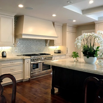 Kitchen Remodel/Renovation