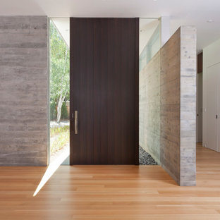 Diseño de entrada moderna, grande, con paredes blancas, suelo de madera clara, puerta simple y puerta marrón