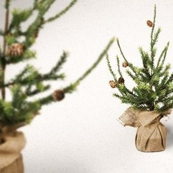 Holiday Decor - Products