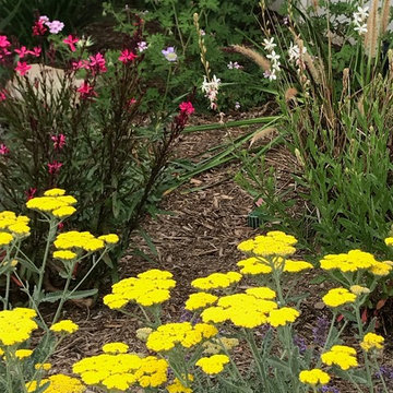 Mini Meadow