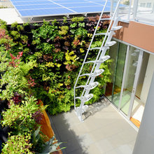 Garden on wall