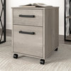 City Park 2 Drawer Mobile File Cabinet in Driftwood Gray - Engineered Wood