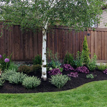 berm landscaping