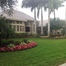 Landscape Ideas