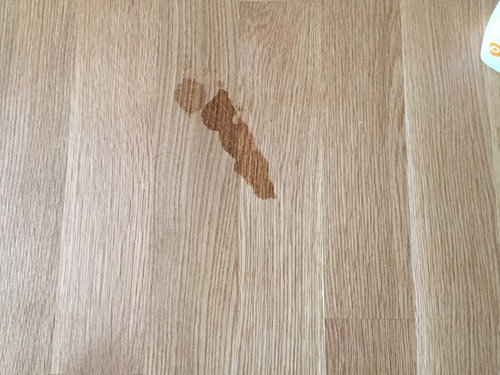 does dog urine stain laminate flooring