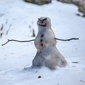 Greg Risley's photo