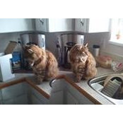 Jessica Davey-Pirie's photo