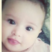 Mohamed Kanoun's photo