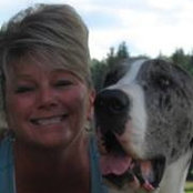 Lisa Gardner's photo