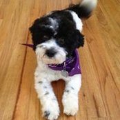 Kristen Cacic's photo