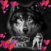 Annette Booth's photo