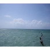 Howard Johnson's photo
