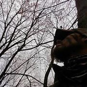 Jon Adams's photo