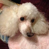 Michelle Millsap's photo