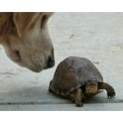 Kate Martin's photo