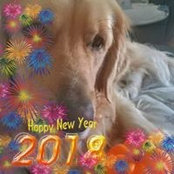 Foto de Connie Everts
